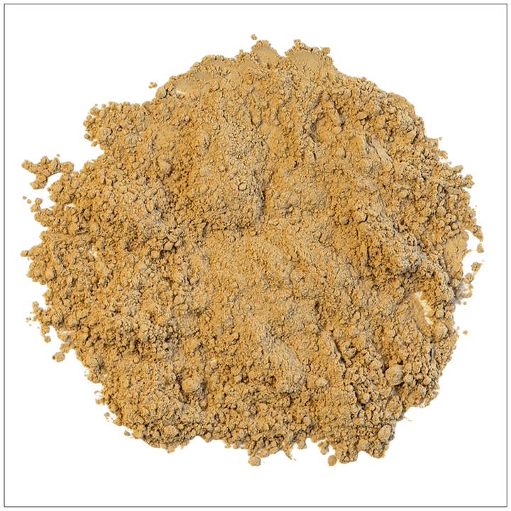 Shiitake Mushroom Powder for wholesale by Alive Herbals