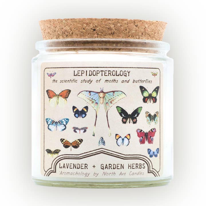 Aromachology / Butterfly Candle / Museum / Science Candle for wholesale by North Ave Candles