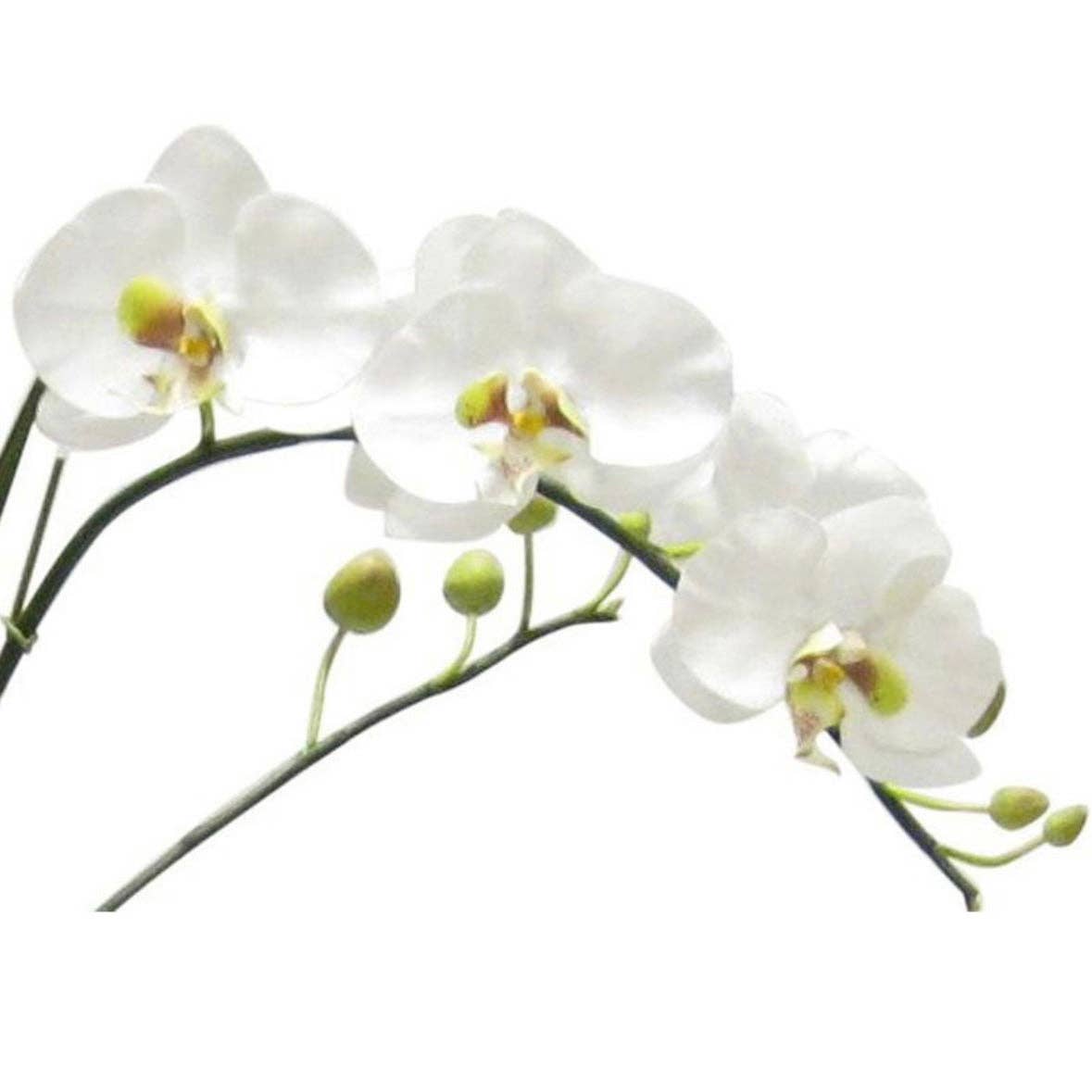 Bougainvillea – wholesale Artificial flowers – [EGB-ORGR] Etched Gold Bowl Metal - Artificial Orchid White & Green1