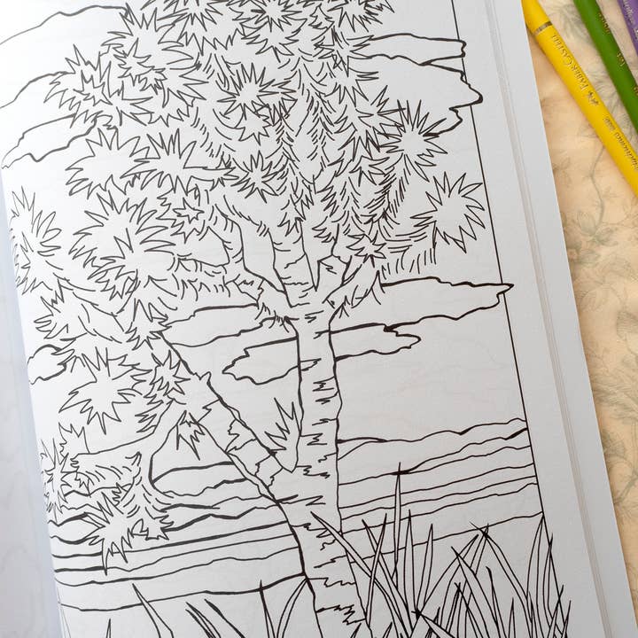Rugosa & Pine - Wholesale Coloring Book - Adult - Home Means Nevada Coloring Book Desert Landscape Wildflowers