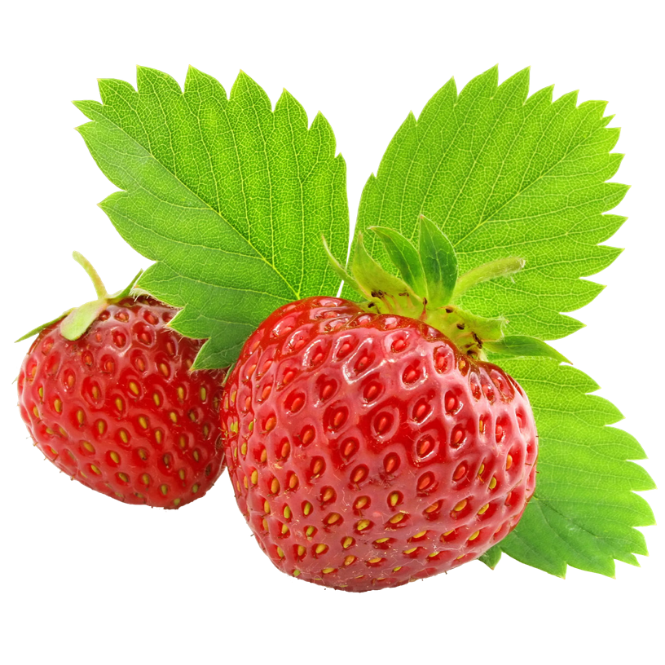 Sprigbox - Wholesale Plant Seeds - Strawberry Grow Kit | Wooden Planter Box | Fruit Gardening1
