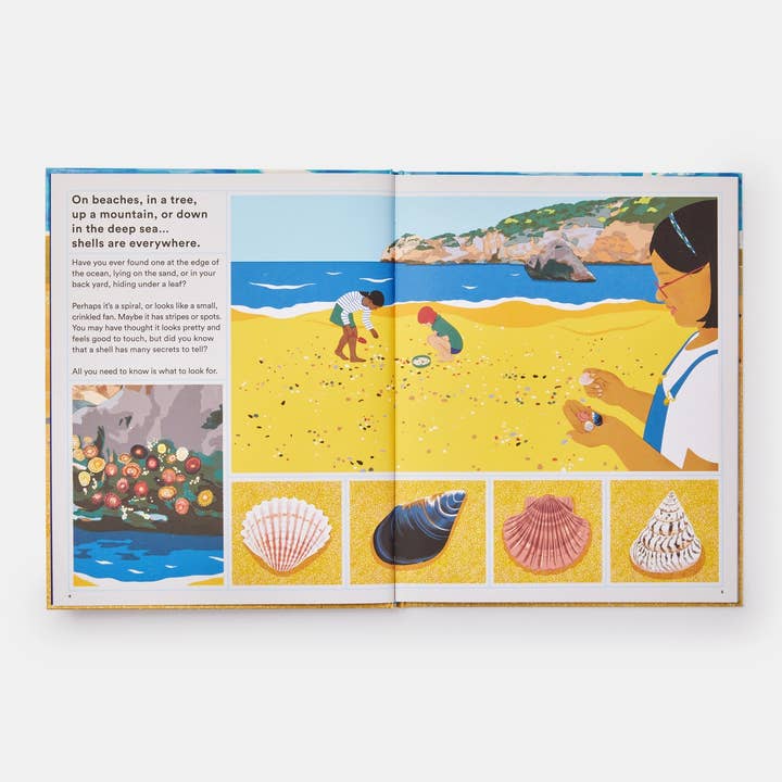 Phaidon - Wholesale Nature & Outdoors - What A Shell Can Tell2
