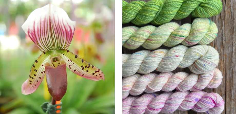 Koigu Wool Designs - Vente Fils à tricoter - Boîtes de Peinture de Fleurs Provinciales (ensembles de mini-écheveaux)20