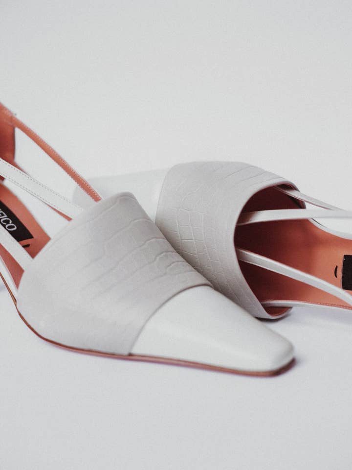 Livia Ghiaccio per la vendita all'ingrosso da parte di Traffico