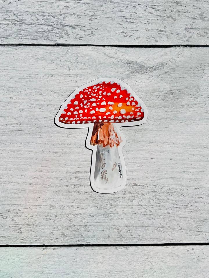 Red Mushroom Magnet for wholesale by A Quartzy Life