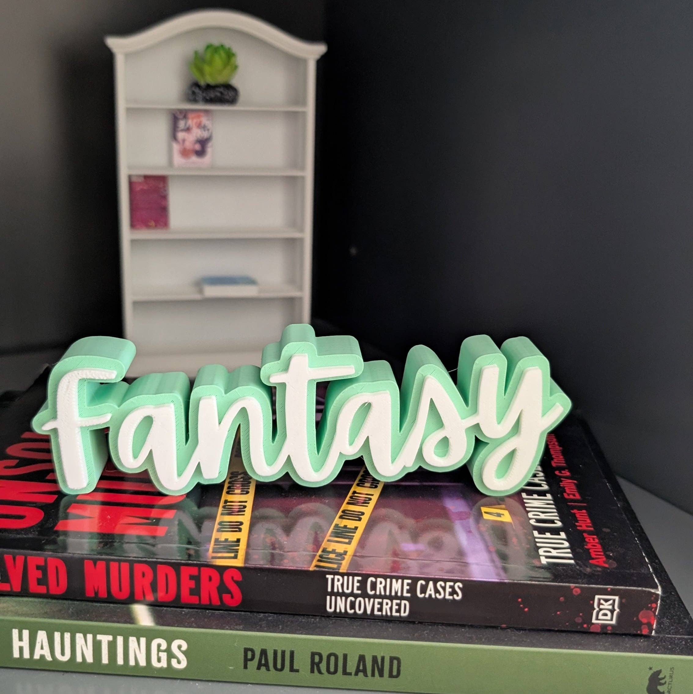 The Gift Genie LLC - Wholesale Bookend - 3D Book Sitters5