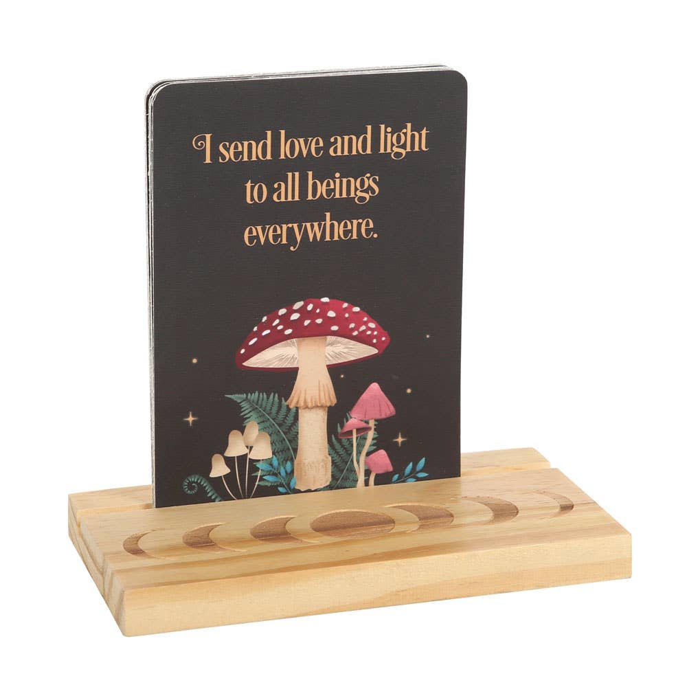 Something Different Wholesale - Wholesale Stationery/Notecard Set - Mystical Mushroom Affirmation Cards with Wooden Stand2