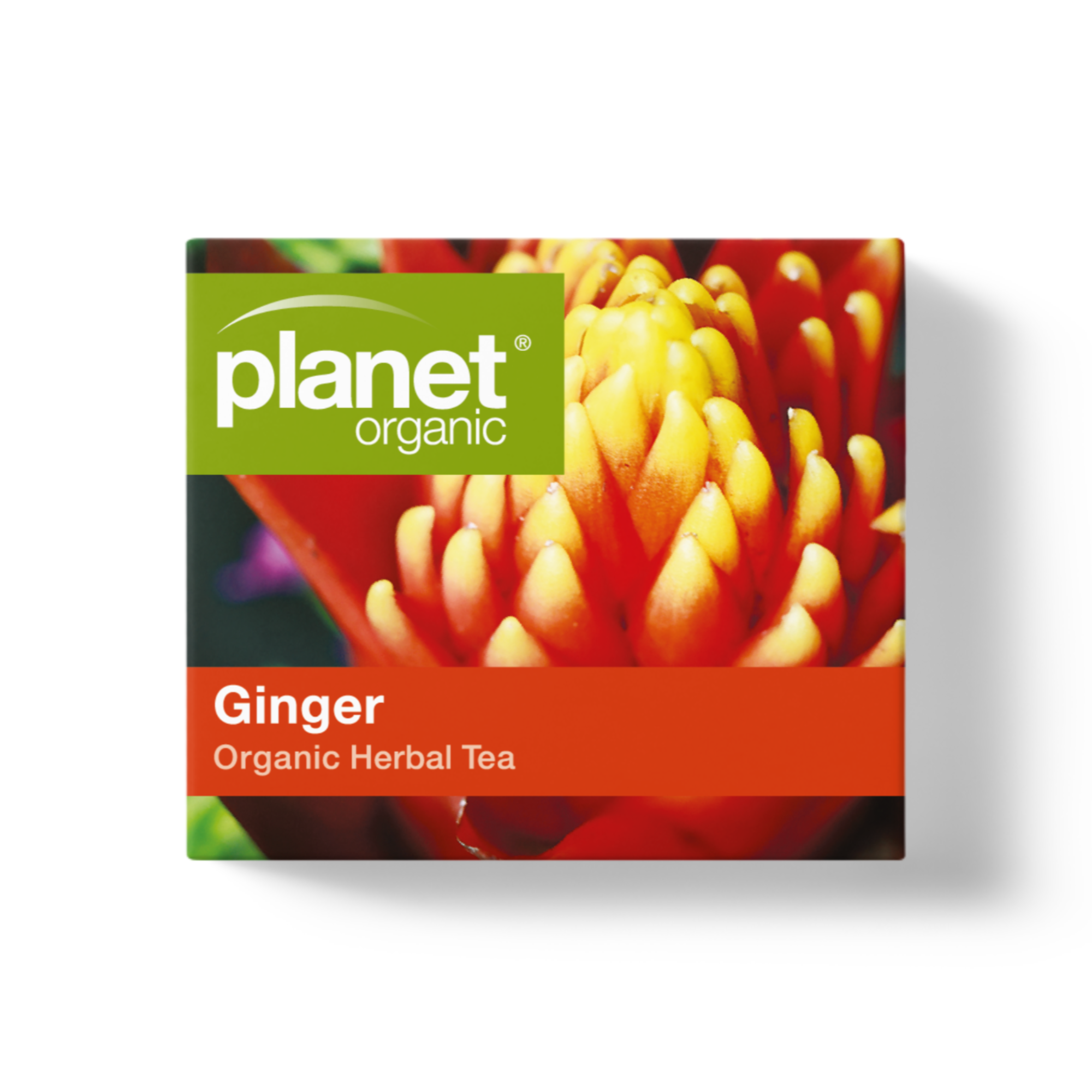 Planet Organic - Wholesale Tea Bags - Ginger Tea Bags1