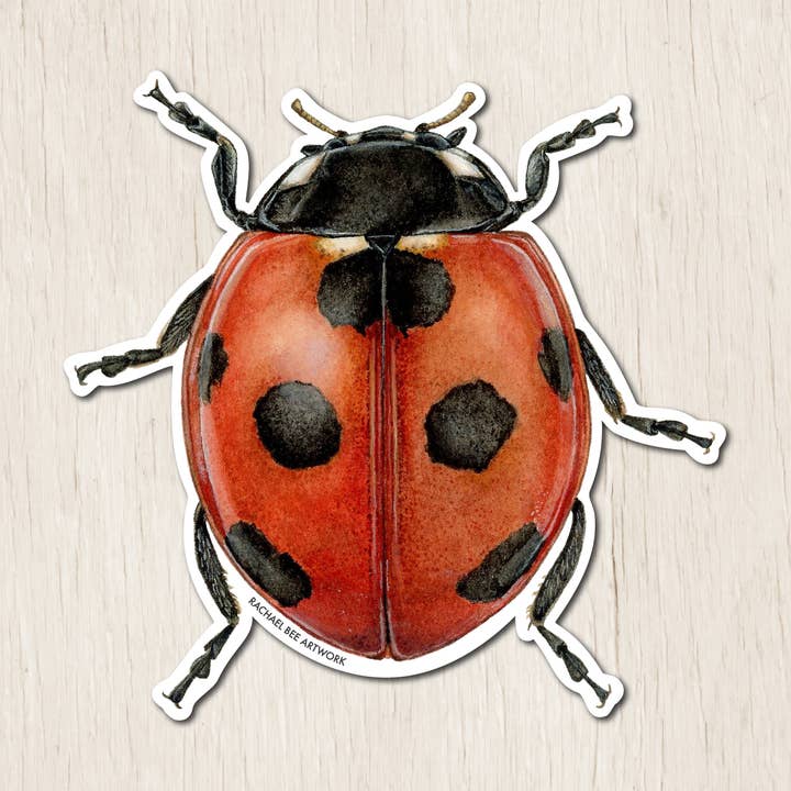 Ladybug Sticker for wholesale by Rachael Bee Artwork
