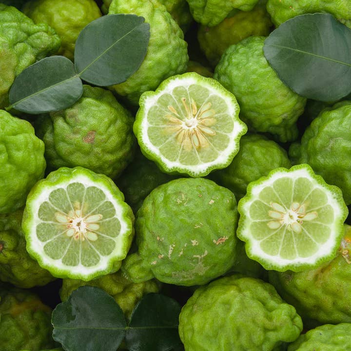 Huile essentielle de bergamote 100 % pure pour la vente par Lotus Home Essentials