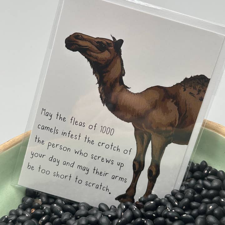 May the Fleas Greeting Card for wholesale by Crooked Halo