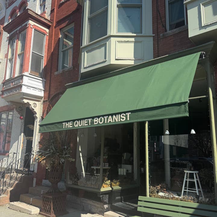 The Quiet Botanist - Wholesale Jar/Filled Candle - 426 Candle - The Scent of our Store.3