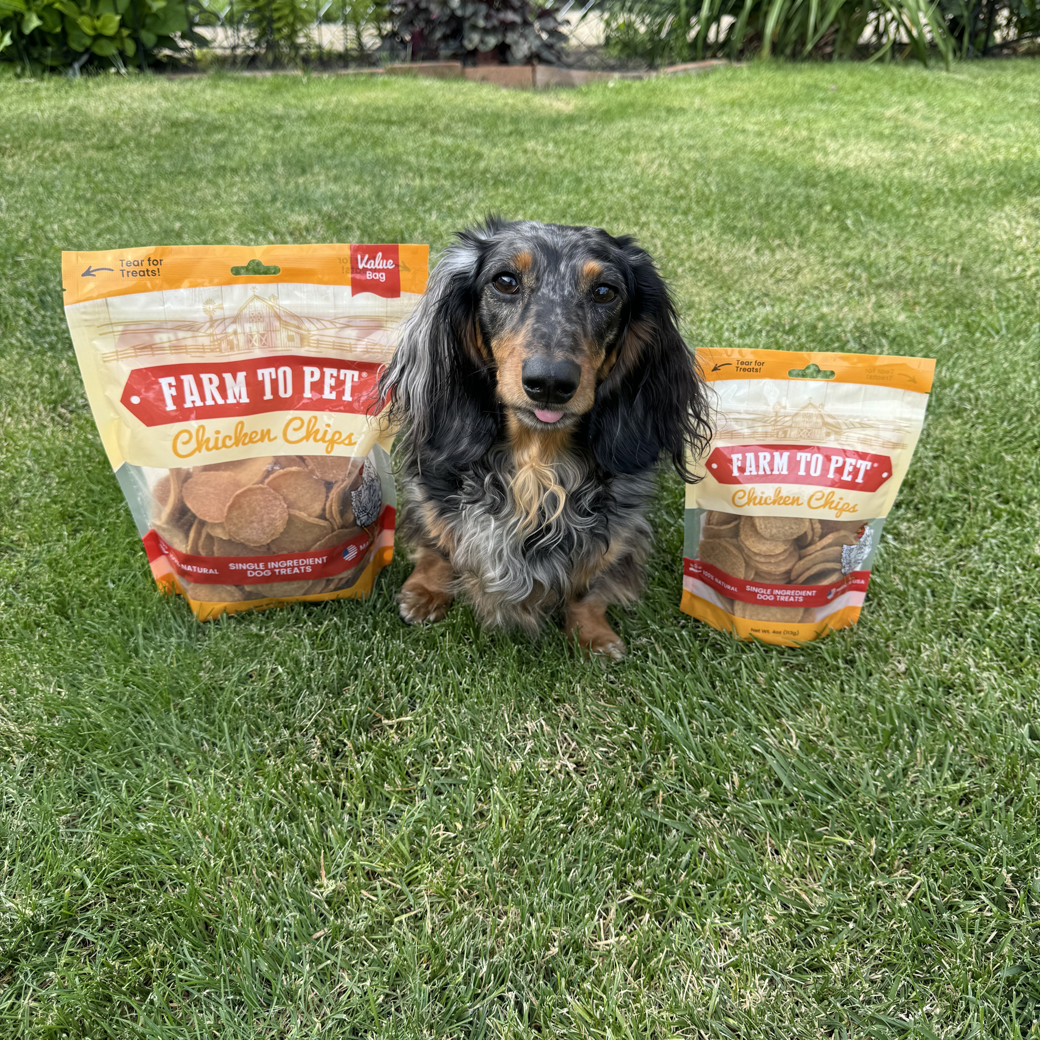 Farm to Pet Healthy Dog Treats - Wholesale Pet Treats - Dog - Chicken Chips Dog Treats2
