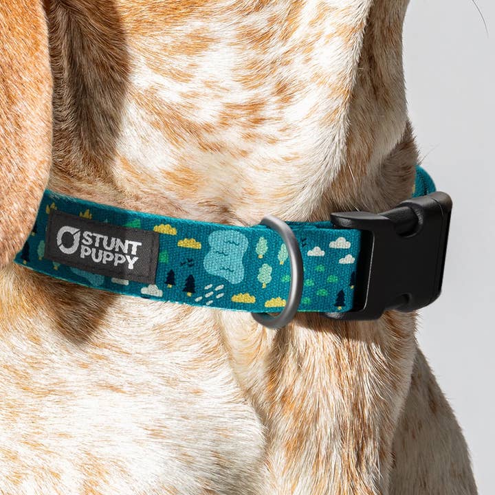 Lakeside Everyday Collar for wholesale by Stunt Puppy