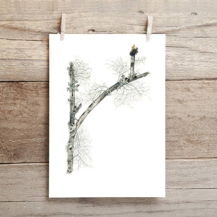 Stick with Lichen Card for wholesale by Bobbi Lee Wilson Art Cards