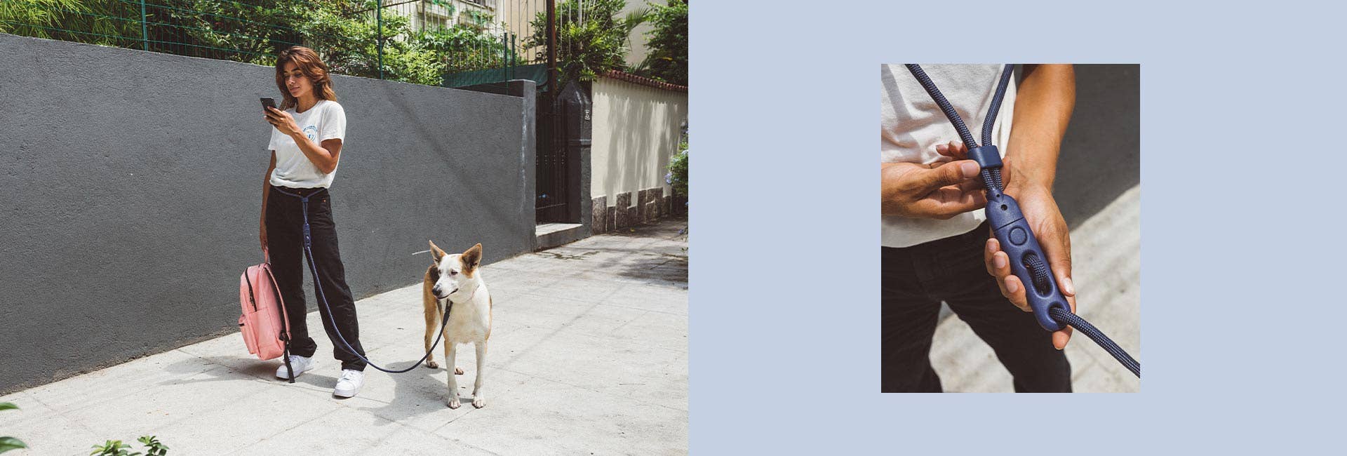 Zee.Dog - Wholesale Pet Leash - Dog - Deep Blue | Hands-Free Leash10