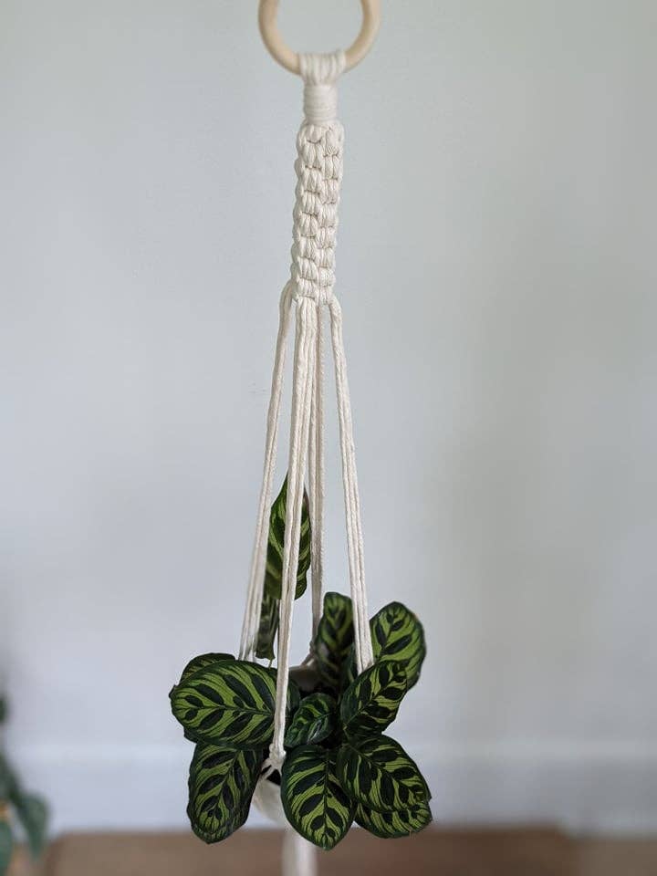 Leaf and Cord - Wholesale Hanging Planter - Macrame Plant Hanger - The Juniper3