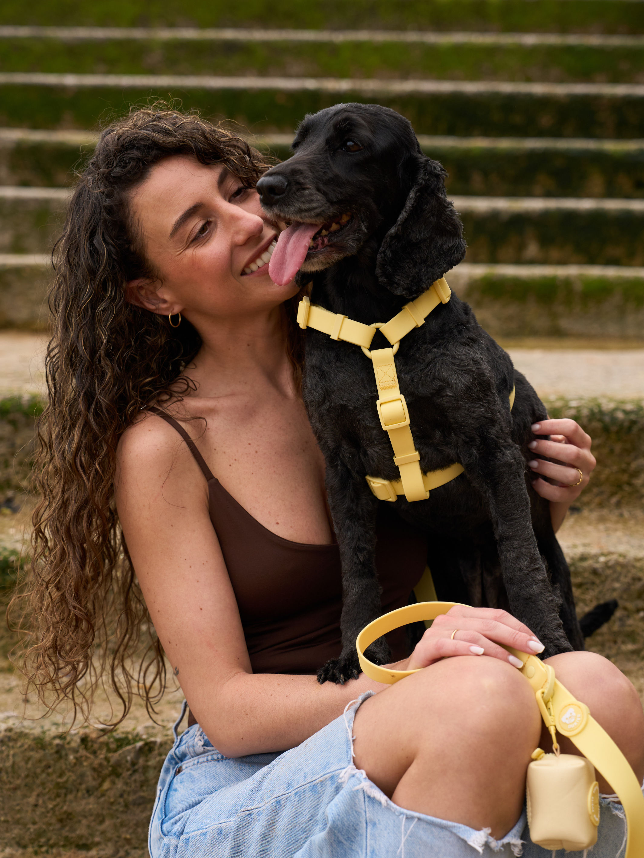 Dukier - Wholesale Pet Harness - Dog - YELLOW WATERPROOF DOG HARNESS3