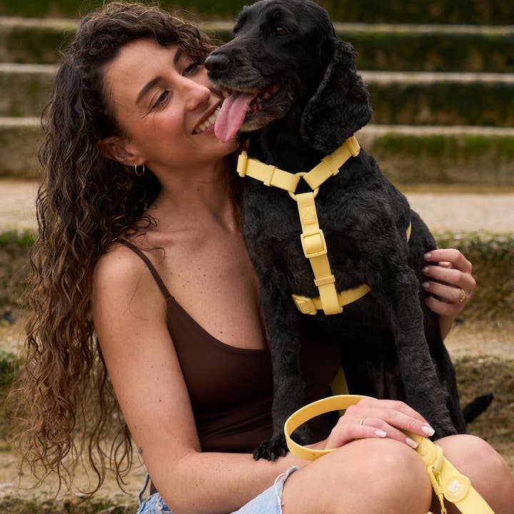 Dukier - Wholesale Pet Harness - Dog - YELLOW WATERPROOF DOG HARNESS3