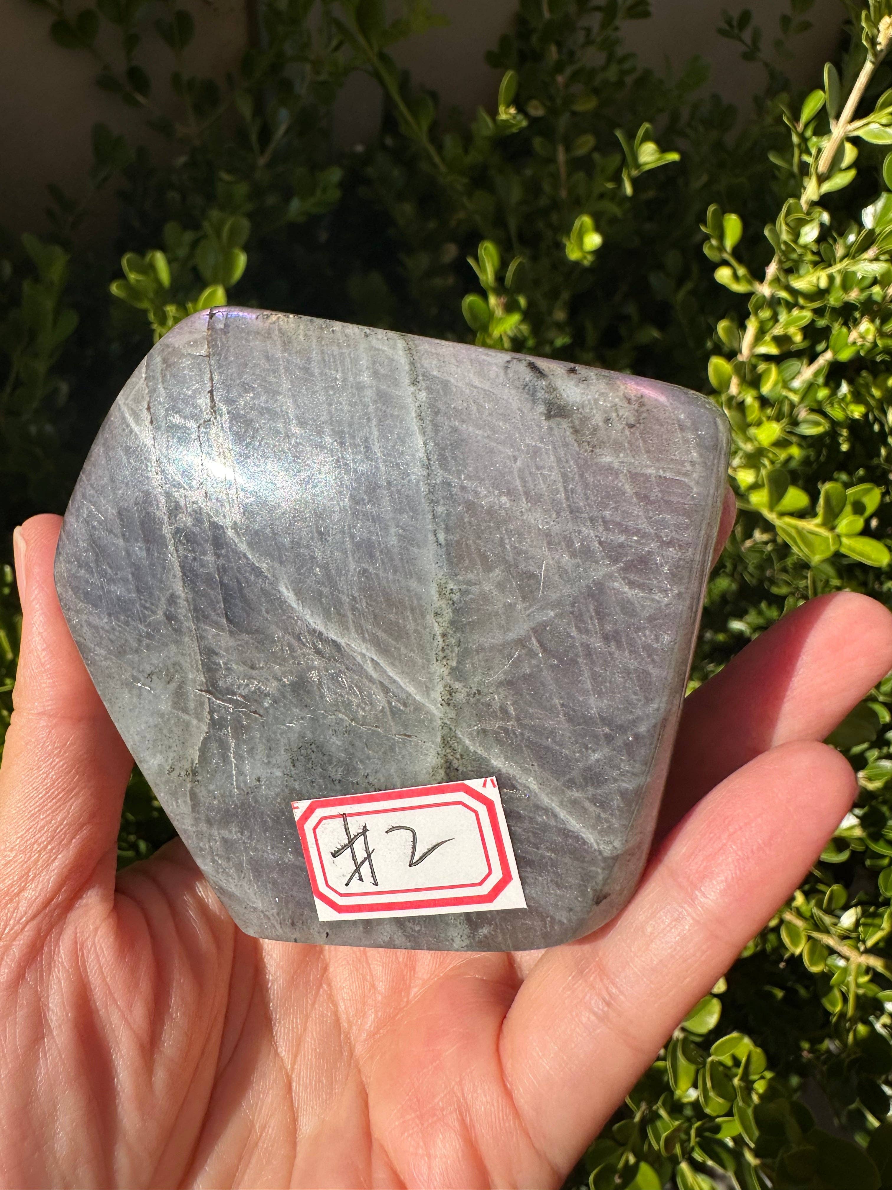 Moon Rituals - Vendita all'ingrosso Pietra/cristallo spirituale - Labradorite Viola Forma Libera, Regalo di Natale di Cristallo #24