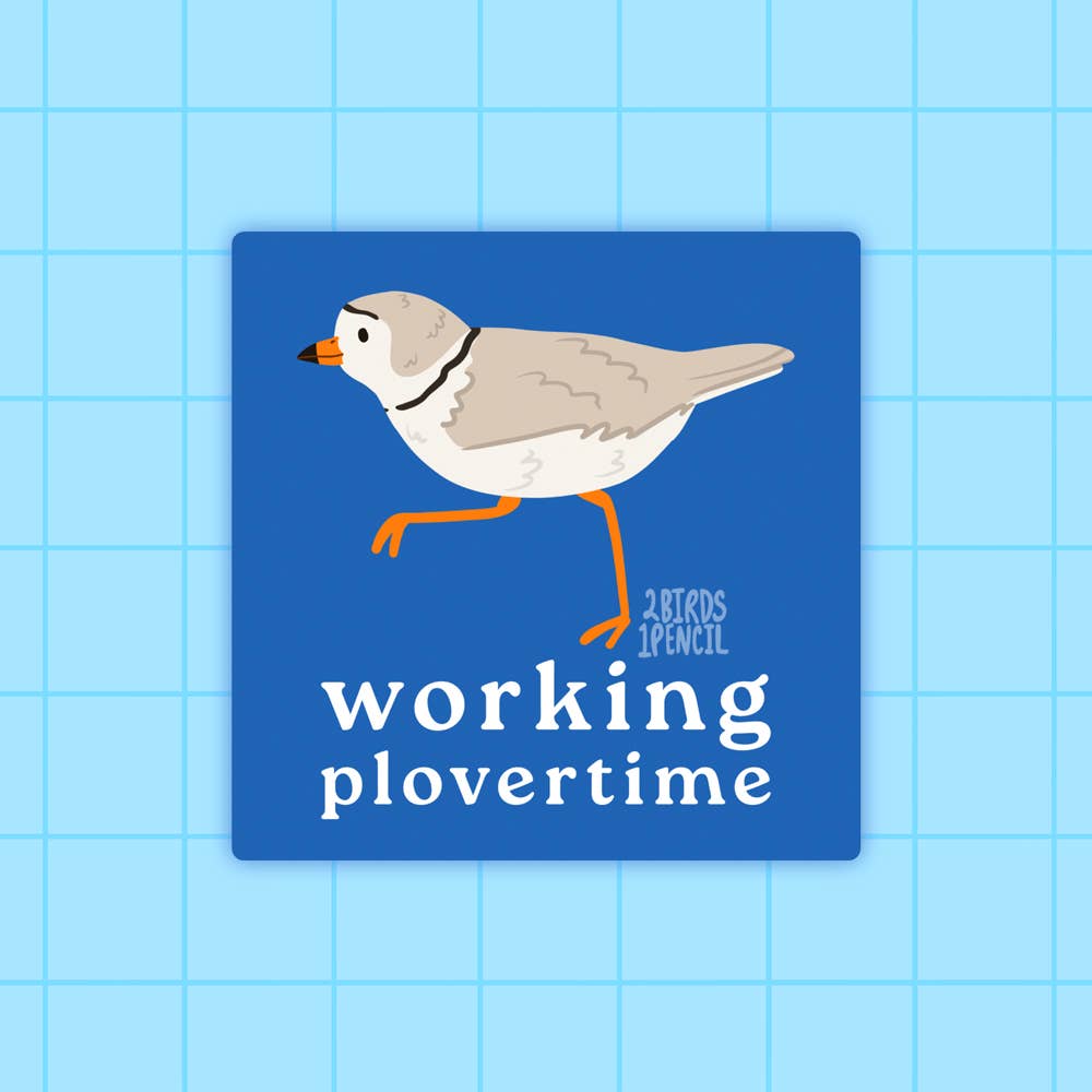 2Birds1Pencil Illustrations - Wholesale Sticker - Working Plovertime Piping Plover Mini Vinyl Sticker0