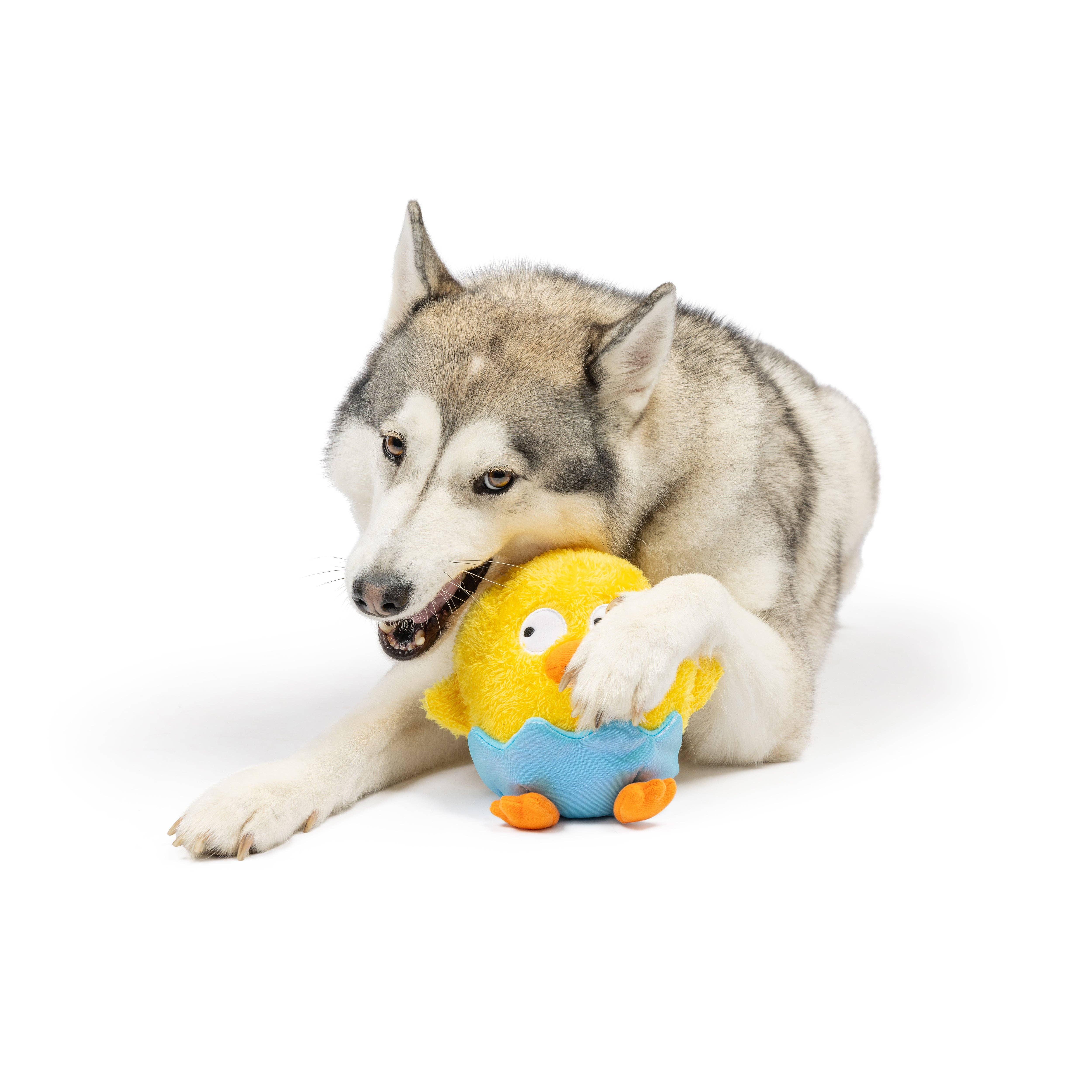 Huxley & Kent - Vente Peluche – chien - Jouet pour chien Chick-A-Dee5