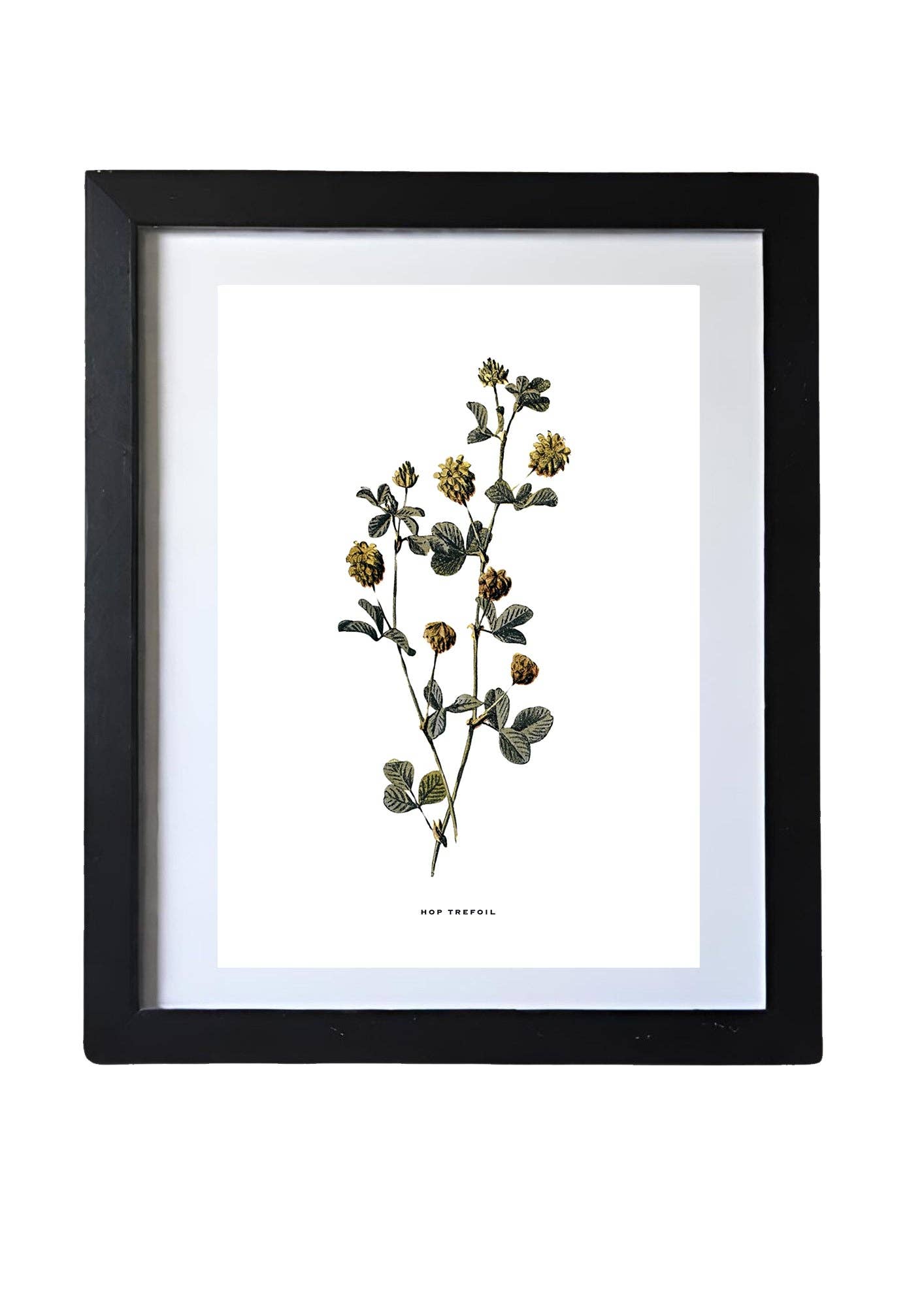 Coultura - Wholesale Gallery Wall Set - Framed Vintage Botanical Floral Wall Art Prints: Set Of Six1