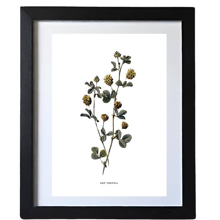 Coultura - Wholesale Gallery Wall Set - Framed Vintage Botanical Floral Wall Art Prints: Set Of Six1