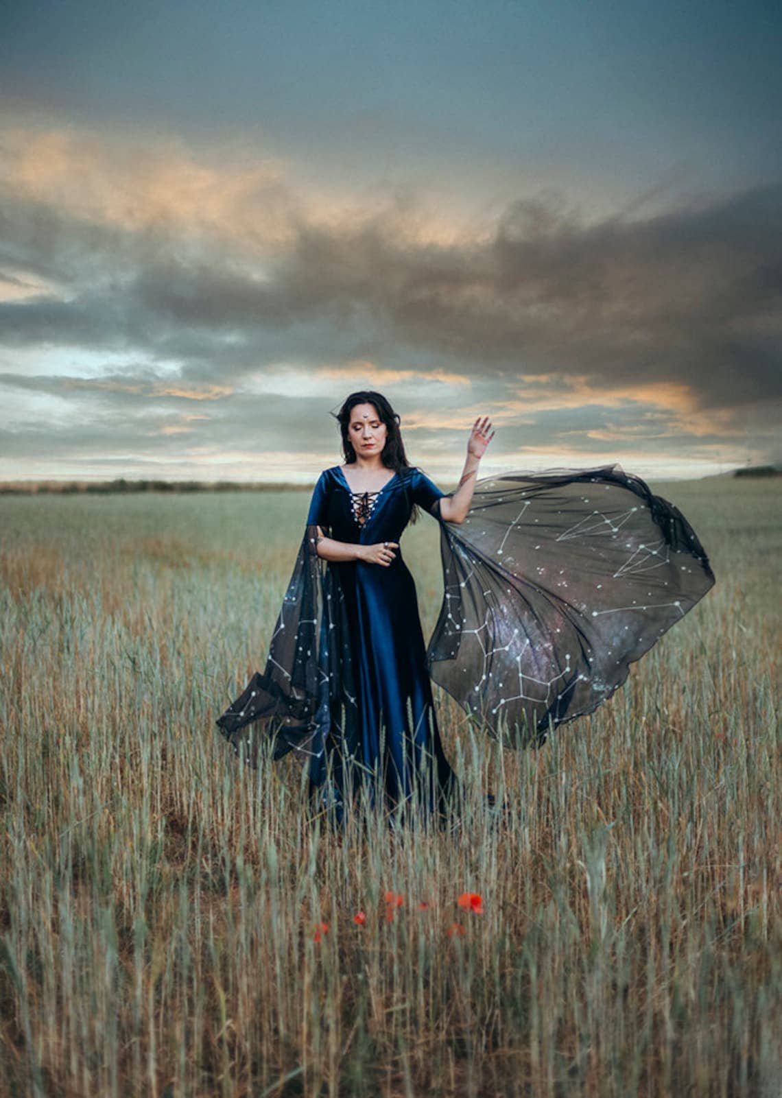 Costurero Real – wholesale Dress – Women's – Blue Constellations witch velvet dress medieval celestial1