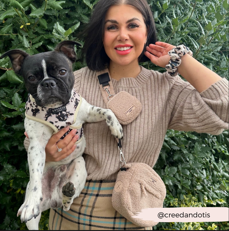 Cocopup London - Vente Sac à friandises – chien - Pochette à friandises - Teddy Rupert3