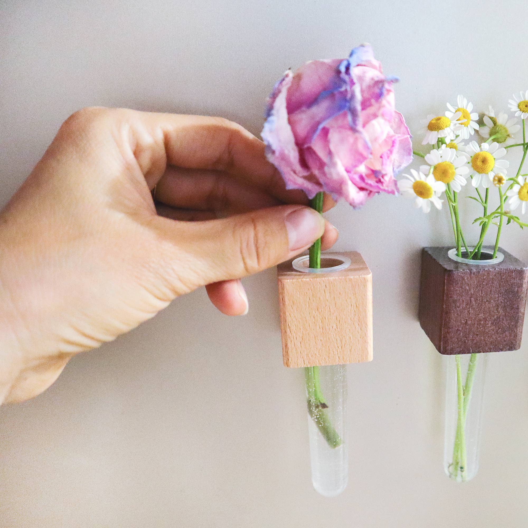 Kitsville - Vendita all'ingrosso Calamite - Mini vasi magnetici – Set di 2 – Magneti decorativi per frigorifero1