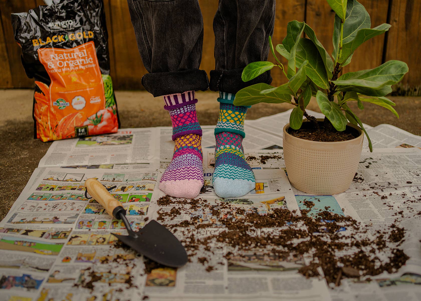 Solmate Socks – wholesale Strumpor - Dam – Petunia Crew Socks | Miljövänlig och tillverkad i USA1