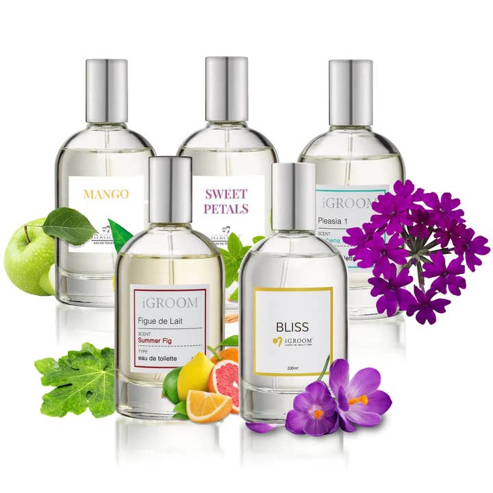 iGroom - Wholesale Perfume/Eau de Toilette - Most Popular Perfume Collection