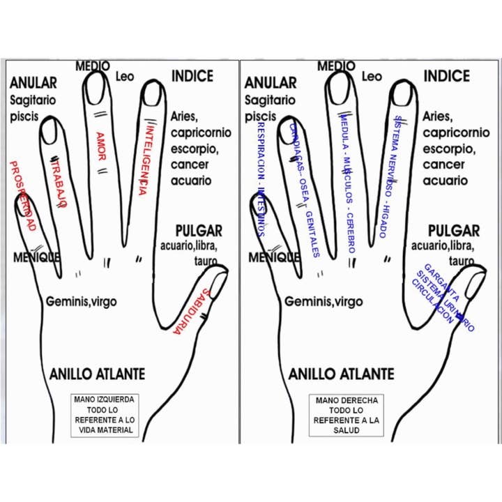 El Alquimista - Wholesale Band/Stacked Ring - ATLANTIS STERLING SILVER RING1