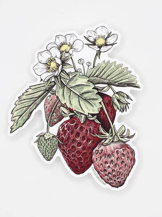 Strawberry Sticker – 4" for wholesale by Rust Belt Love Paperie
