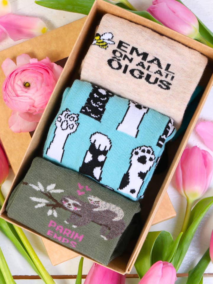 PARIM EMPS Mors dagsgaveæske med 3 par sokker for engroshandel hos Sokisahtel I BestSockDrawer