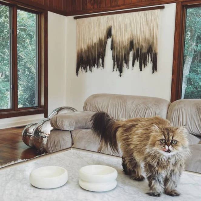 Catenary Home - Venta al por mayor Comedero - Gatos y perros - Cuenco Halo para mascotas de cerámica elegante4