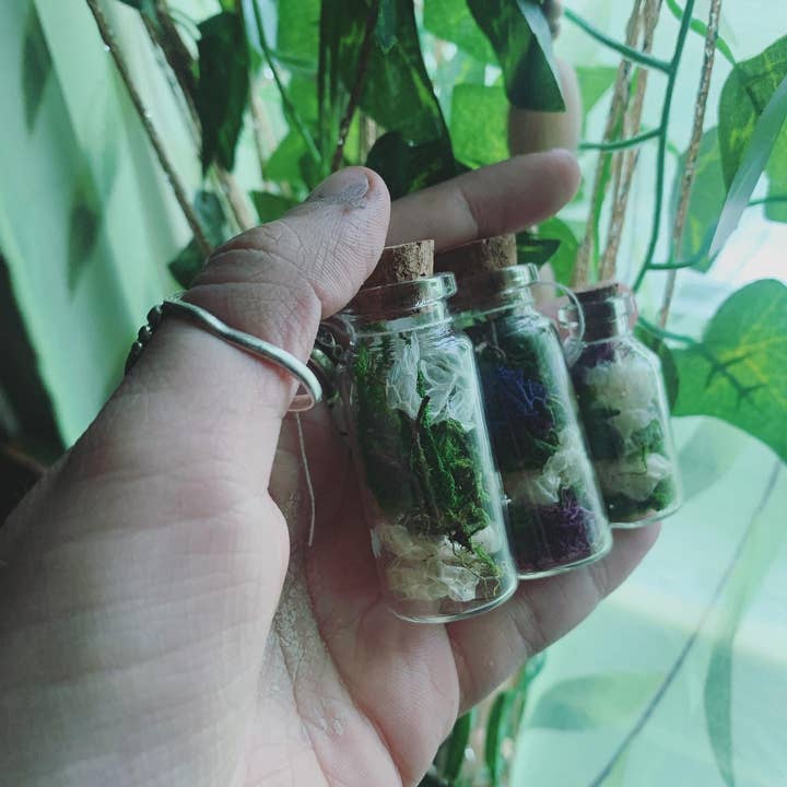 Leafy Ann Art – Engroshandel Apotekerkrukke – Håndlavet apotekerkrukke med slangeskind og mos3