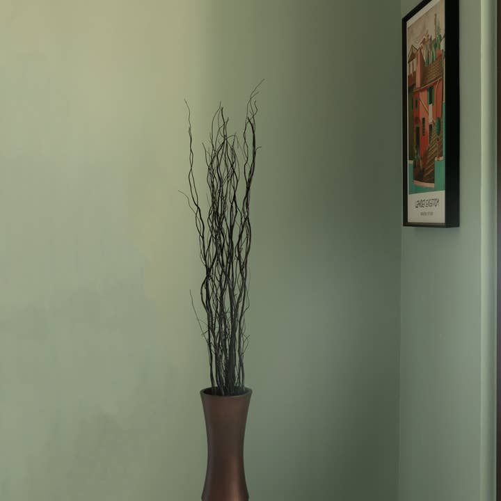 Quickway Imports - Vente Fleur séchée/pressée - Bâtonnets authentiques décoratifs naturels à branches sèches25