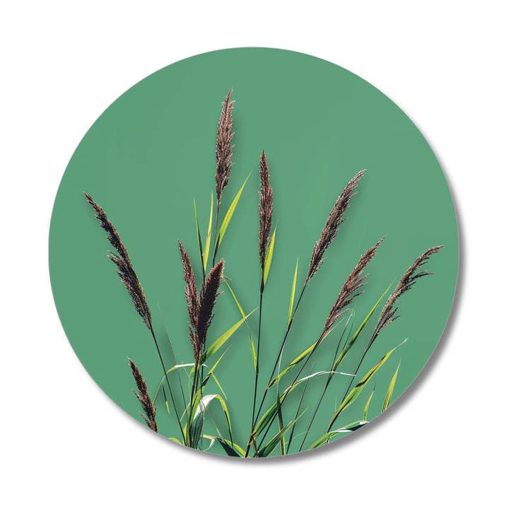 Vetiver - Solid Fragrance Pod for wholesale by ēma fragrance