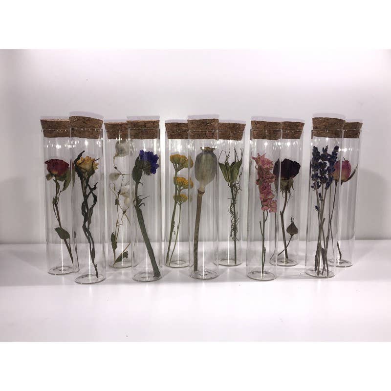 Muno - Wholesale Dried/Pressed Flowers - TUBE 10 CM WITH DRIED FLOWER - Gift3