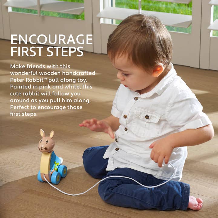 Orange Tree Toys - Wholesale Wood Toy - Kids - Peter Rabbitâ„¢ Pull Along