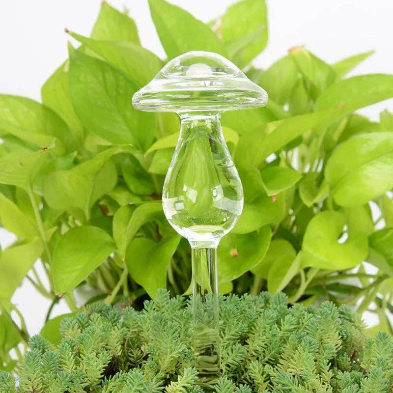 Kiyo Home - Wholesale Plant Pot - Glass Self-Watering Plant Decor | Micro-Drip System Ornament18
