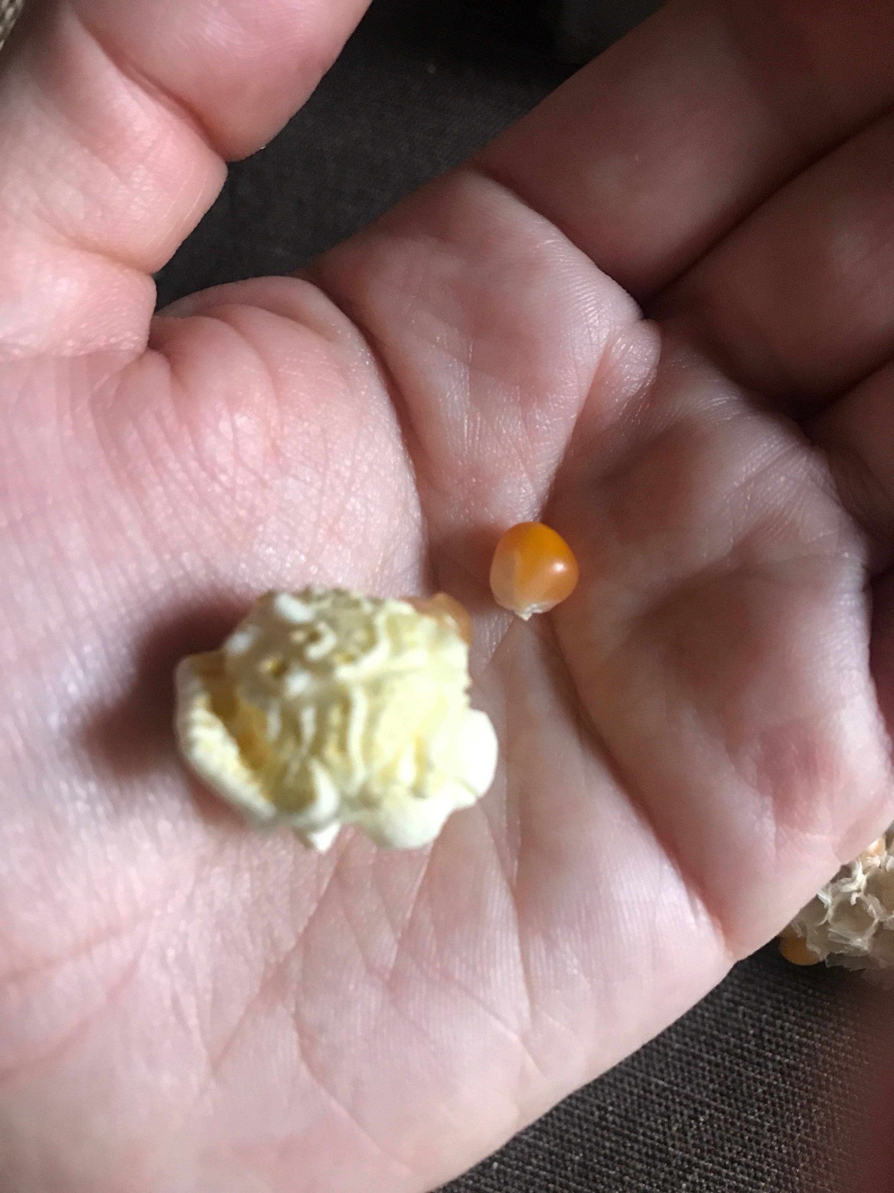 Free Day Popcorn Company - Wholesale Popcorn - Omega Mushroom™, 50 lb bag2