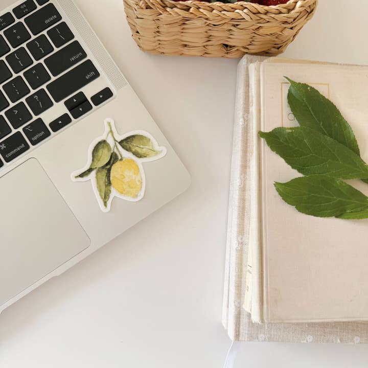 emily lex studio - Wholesale Sticker - lemon sticker1