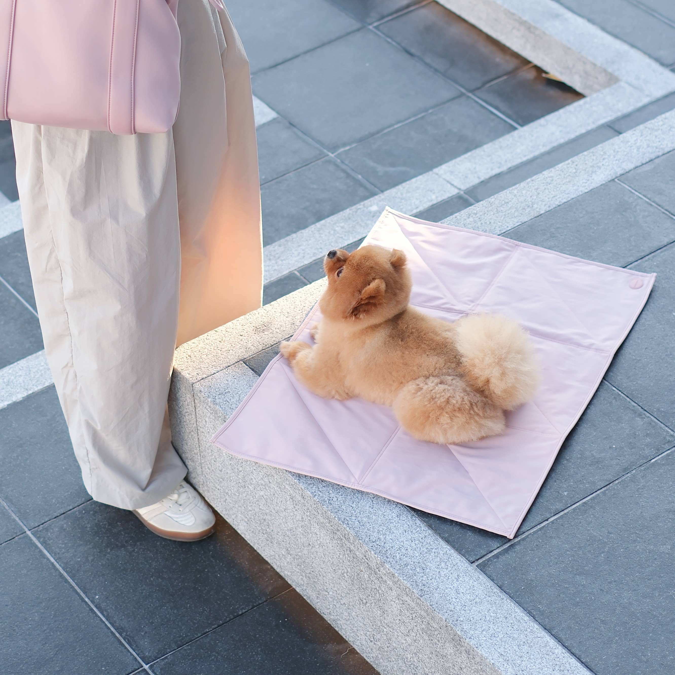 Pups & Bubs - Wholesale Pet Travel Bowl - Dog - Jouir Pet Travel Mat | Non-slip, Light-weight, Foldable2