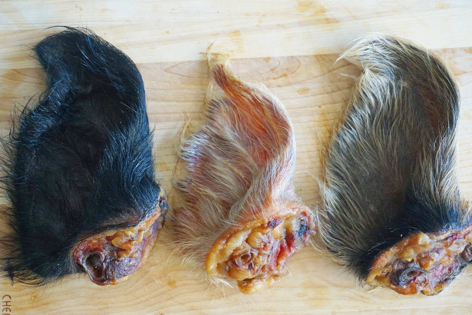 Naked Beasts, Inc. - Wholesale Pet Treats - Dog - Pig Ear (Hairy)1