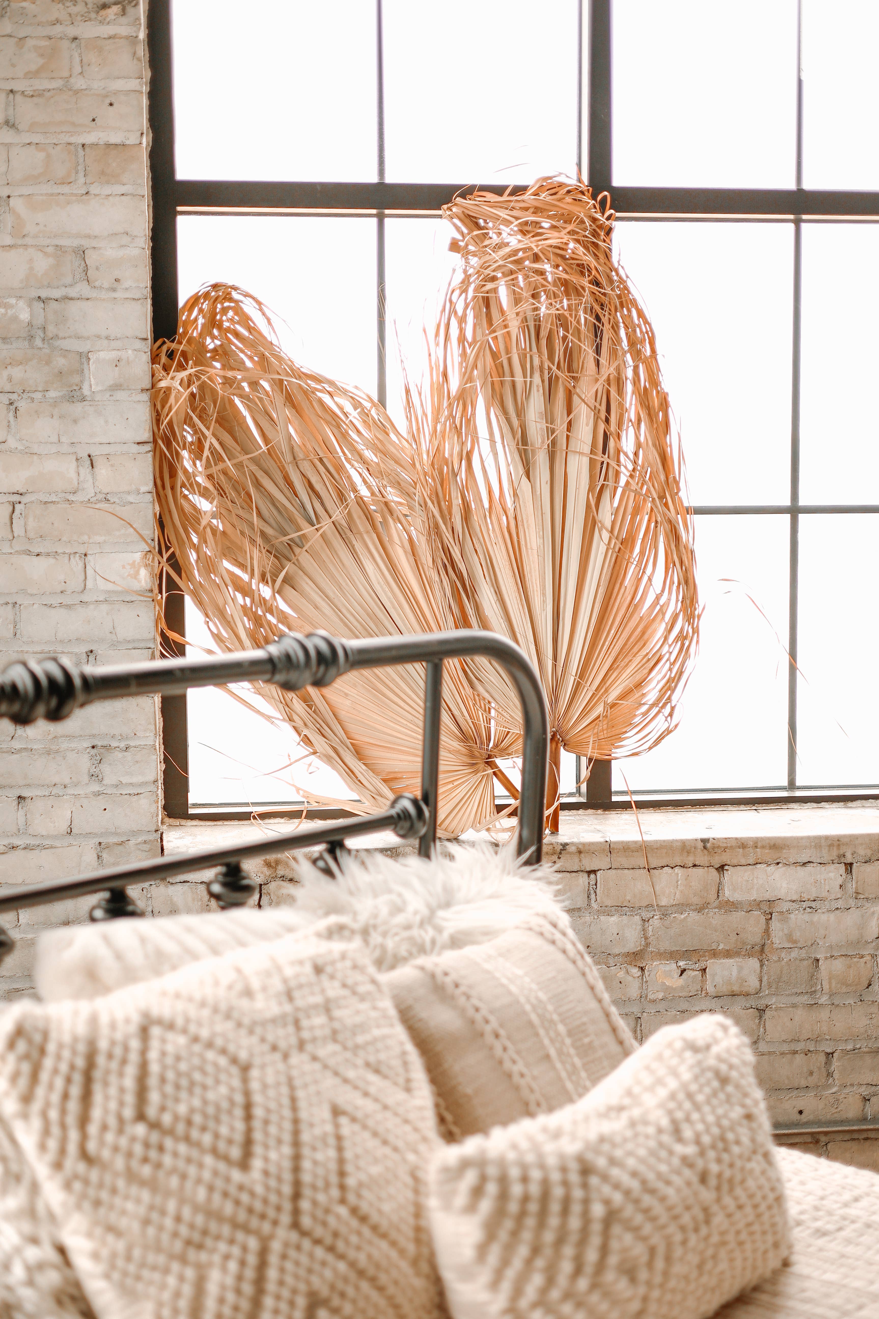 The Blooming Palm - Wholesale Retailermonster - 3 ft (91 cm) jumbo natuurlijke gedroogde wilde palmblad waaiervorm10