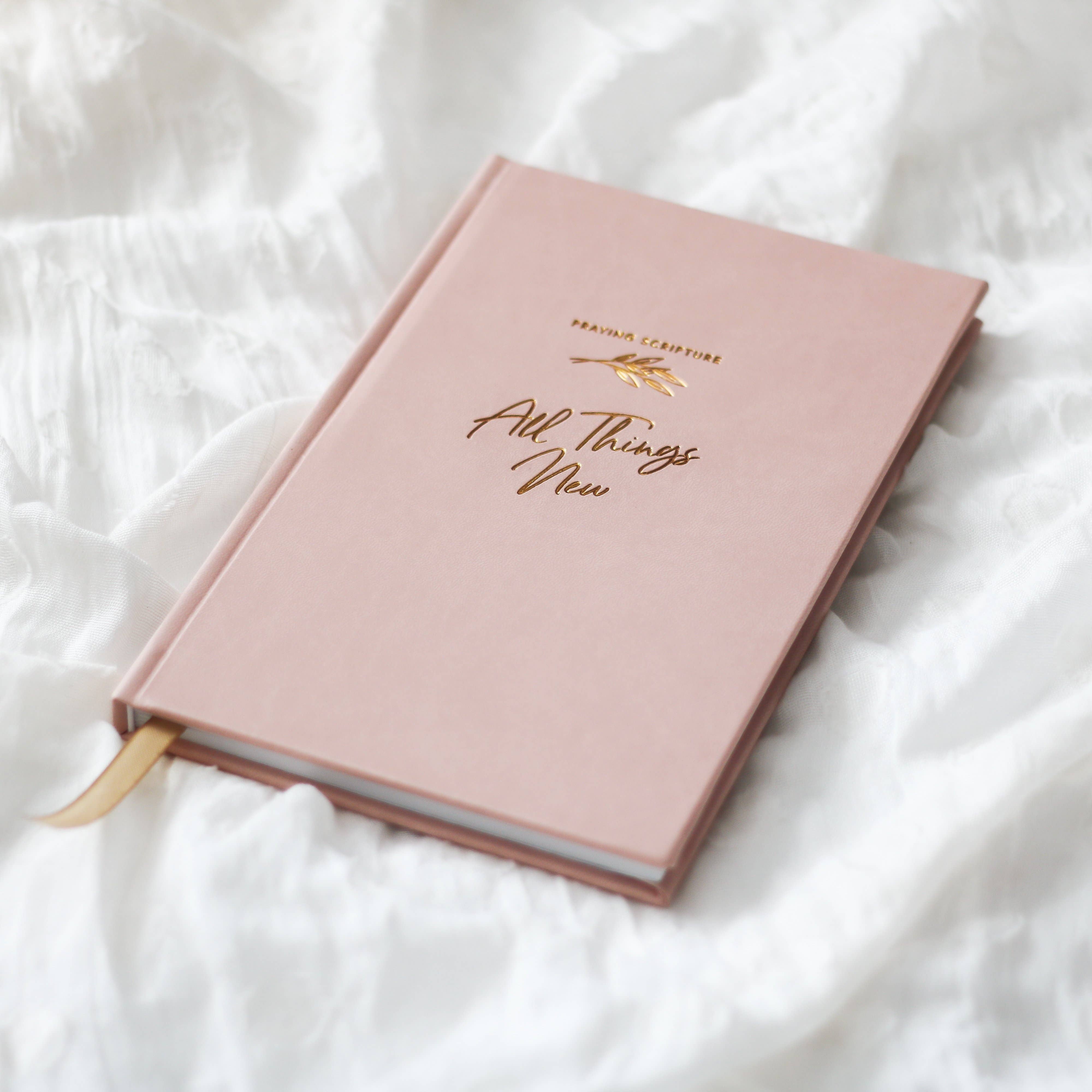 The Daily Grace Co - Wholesale Journal/Diary - All Things New  | Praying Scripture Journal4