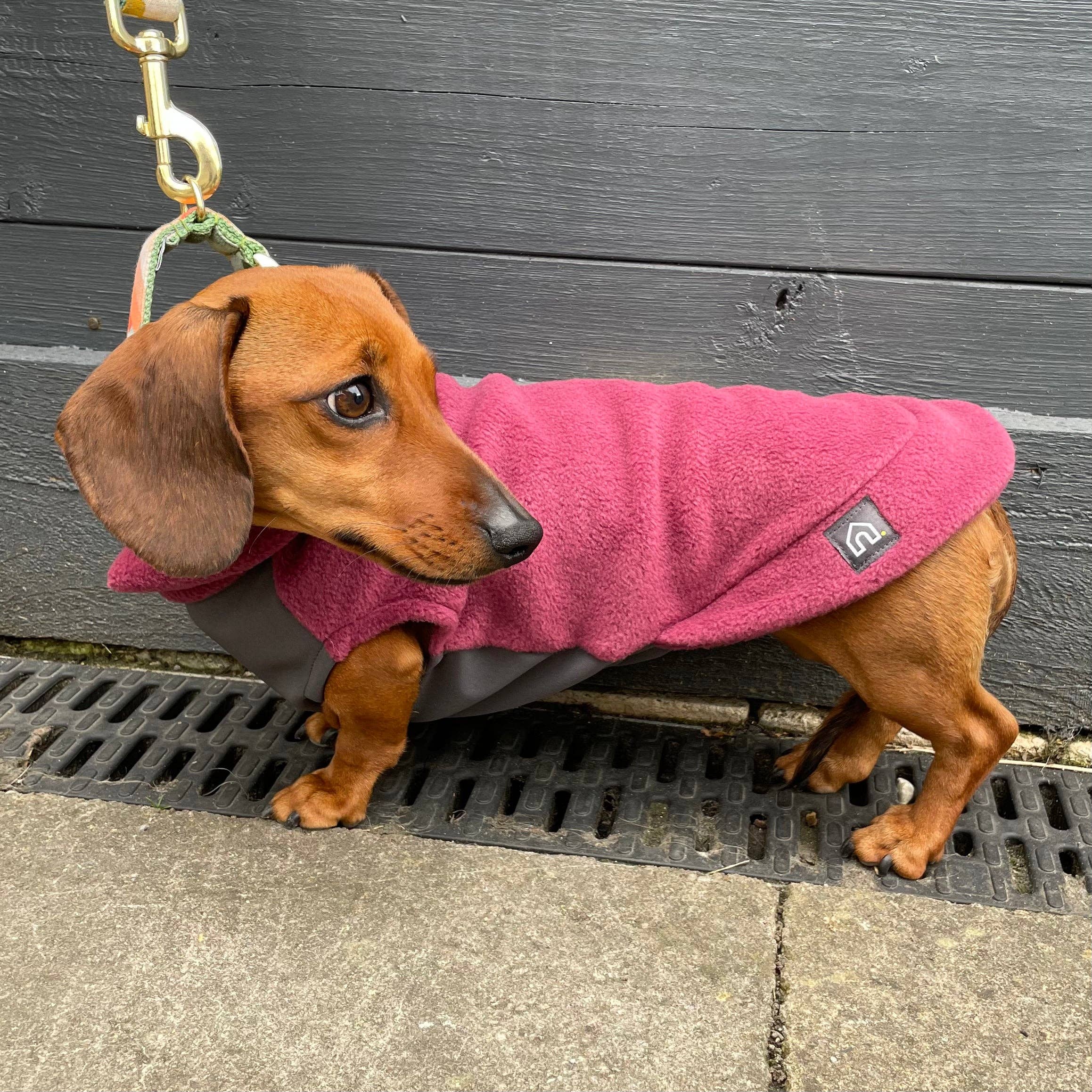 Doghouse – Engroshandel Sweater - Hund – Dachshund fleecetrøje med vandtæt mavepanel5